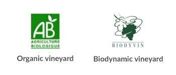 green-partners